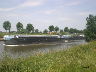 CIMG8010.JPG