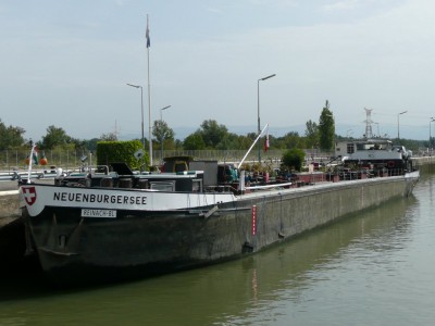 NEUENBURGERSEE - Vogelgrün - septembre 2008 (024).JPG (113.2 Kio) Vu 1487 fois NEUENBURGERSEE - Vogelgrün - septembre 2008 (024).JPG