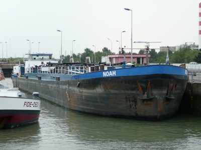 NOAH - Strasbourg - septembre 2008 (009).JPG