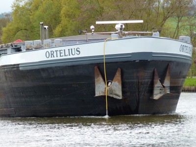 ORTELIUS - Pagny-sur-Moselle - avril 2012 (030).JPG (157.69 Kio) Vu 2636 fois ORTELIUS - Pagny-sur-Moselle - avril 2012 (030).JPG