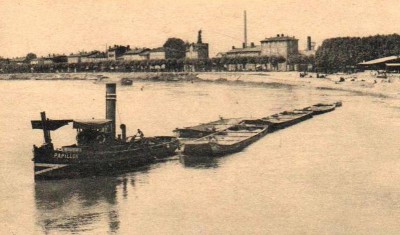 Papillon - 1a.JPG (62.35 Kio) Vu 3106 fois Papillon - 1a.JPG