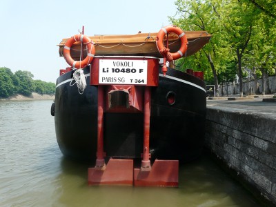 vokoli-ar.JPG