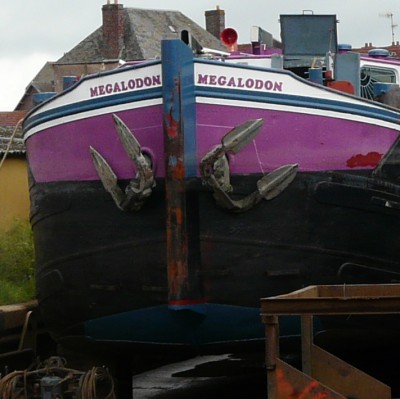 megalodon-nez-chantier pont l.JPG