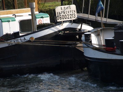 PB010830 (Copier).JPG (124.41 Kio) Vu 2400 fois PB010830 (Copier).JPG