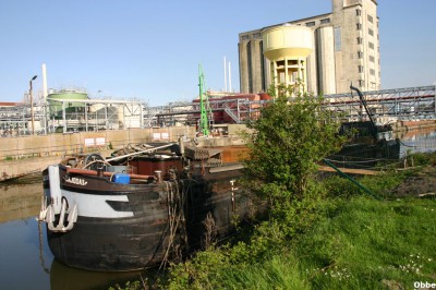 Dajoda III 02.JPG