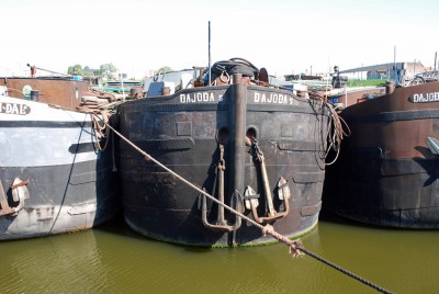 DSC_0439.jpg (265.04 Kio) Vu 3160 fois DSC_0439.jpg