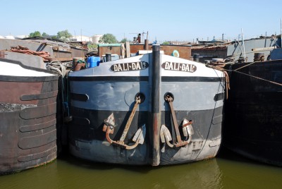 DSC_0438.jpg (248.88 Kio) Vu 3160 fois DSC_0438.jpg