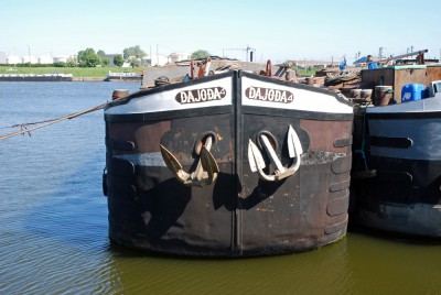 DSC_0437.jpg (265.22 Kio) Vu 3160 fois DSC_0437.jpg