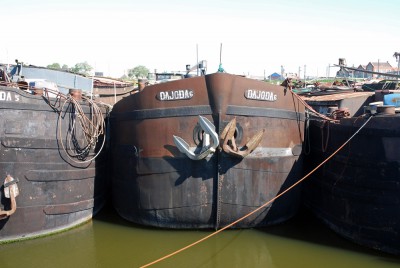 DSC_0440.jpg (242.77 Kio) Vu 3158 fois DSC_0440.jpg