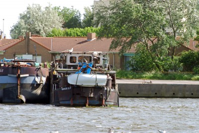 DSC_0645.jpg (427.99 Kio) Vu 3151 fois DSC_0645.jpg