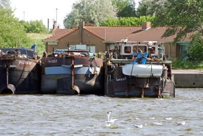 DSC_0646.jpg (398.96 Kio) Vu 3124 fois DSC_0646.jpg