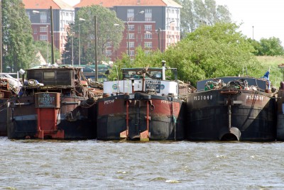 DSC_0648.jpg (382.38 Kio) Vu 3124 fois DSC_0648.jpg