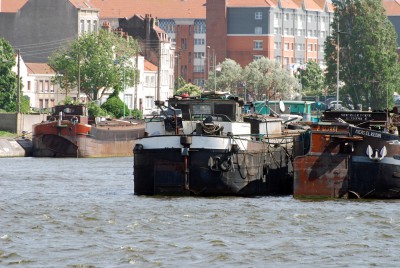 DSC_0653.jpg (370.78 Kio) Vu 3130 fois DSC_0653.jpg