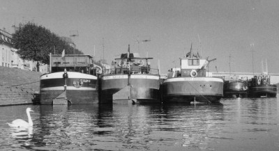 Port Navalo.jpg (203.42 Kio) Vu 4738 fois Port Navalo.jpg