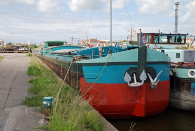 DSC_0674.jpg (288.19 Kio) Vu 4568 fois DSC_0674.jpg