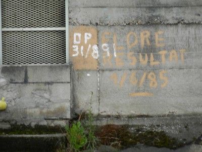 DSCN0345.JPG (360.64 Kio) Vu 4486 fois DSCN0345.JPG