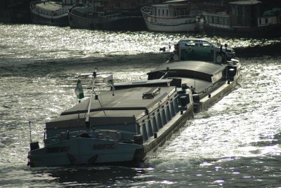 DSC_0022 (Medium).JPG