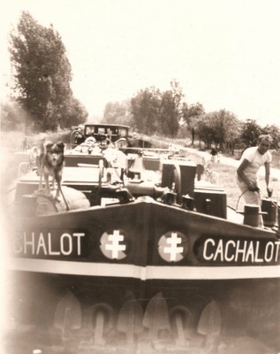 CACHALOT.jpg