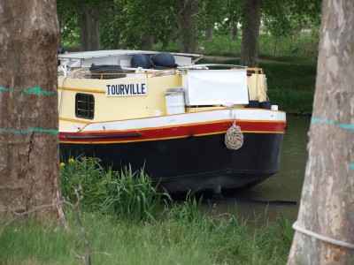 P5081001 (Copier).JPG (245.12 Kio) Vu 6779 fois P5081001 (Copier).JPG