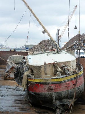 P1000636~1.jpg (118.39 Kio) Vu 8241 fois P1000636~1.jpg