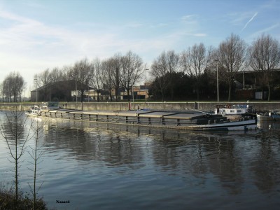 SAM_0980.JPG