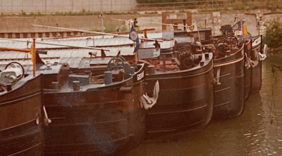 n°1= julia n°2= gismho n°3 2 synthe .png