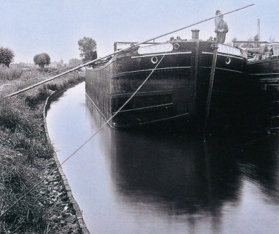 Mantes.jpg (133.12 Kio) Vu 2066 fois Mantes.jpg