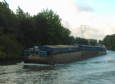 osma1.jpg