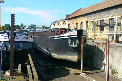 P1040478 (Copier).JPG (143.47 Kio) Vu 7973 fois P1040478 (Copier).JPG