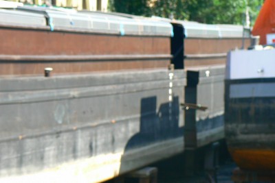 P1040483 (Copier).JPG (75.27 Kio) Vu 7973 fois P1040483 (Copier).JPG