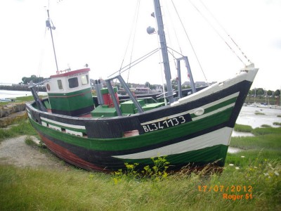IMGP0142.JPG