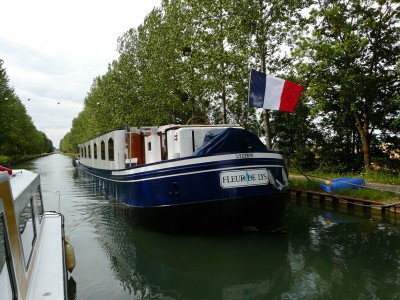 fleur de lys-cb-ar.jpg