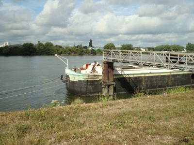 DSC03793.JPG