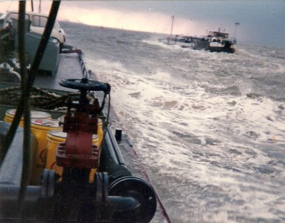 cachalot.jpg