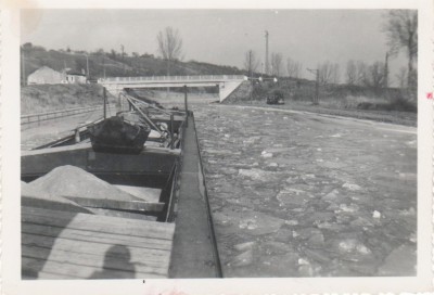 Méduse dans les glaces 001.jpg