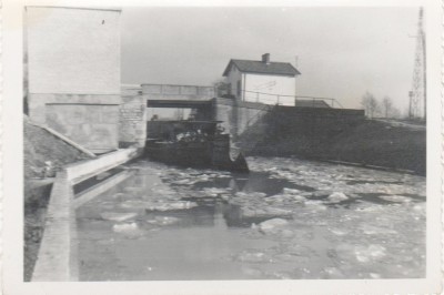 Méduse dans les glaces 003.jpg