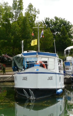 jade-av.JPG