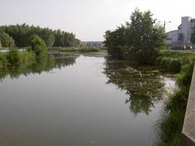 PICT2898.JPG