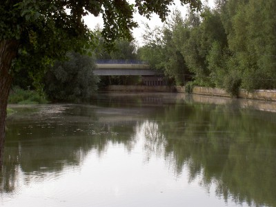 PICT2912.JPG