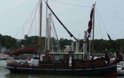 le plancton.jpg (45.29 Kio) Vu 7508 fois le plancton.jpg