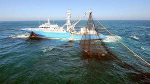 franche-terre en peche.jpg