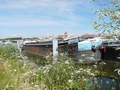 monijean-st jean-av.JPG (290.19 Kio) Vu 4499 fois monijean-st jean-av.JPG