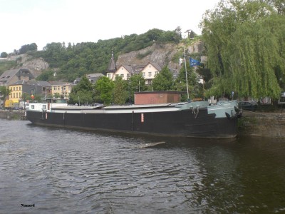 CIMG8913.JPG