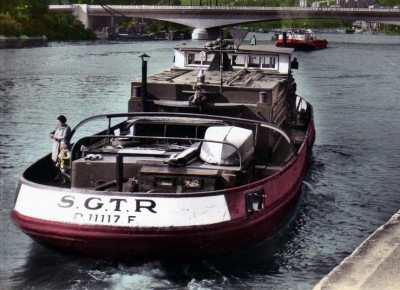 Guepe xx.jpg (109.89 Kio) Vu 2171 fois Guepe xx.jpg