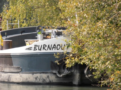 P9050248BURNAOUT.jpg