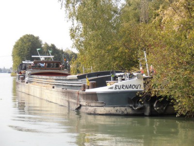 P9050247BURNAOUT.jpg