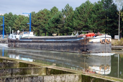 DSC_0013.jpg