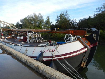 ALCEDO (2).JPG