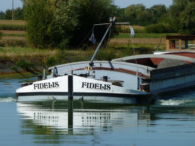 P1130295FIDELIS.jpg (181.51 Kio) Vu 4920 fois P1130295FIDELIS.jpg