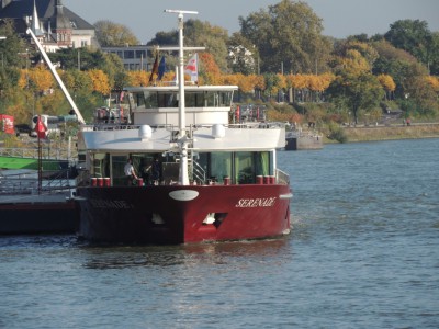 DSCN1278 (Medium).JPG (223.81 Kio) Vu 1346 fois DSCN1278 (Medium).JPG